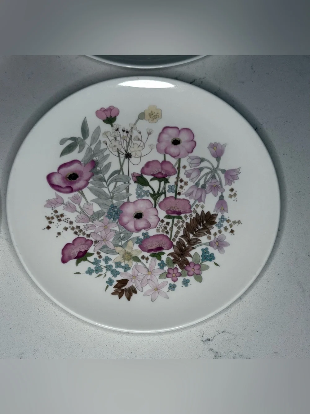Wedgwood “Meadow Sweet” Porcelain Salad Plates (Set of 4)